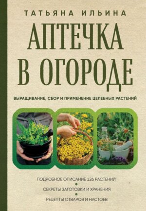 Аптечка в огороде Выращивание сбор и применение целебных растений Подар