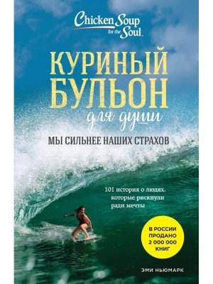 Куриный бульон для души Мы сильнее наших страхов 101 история о людях которые рискнули ради мечты Мяг