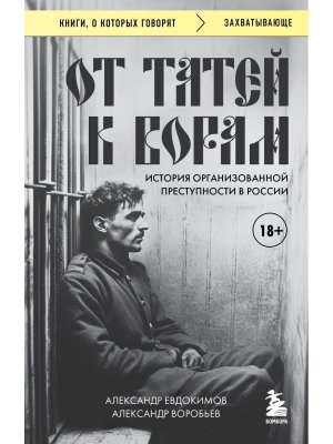 От татей к ворам история организованной преступности в России КОК  Мягк 