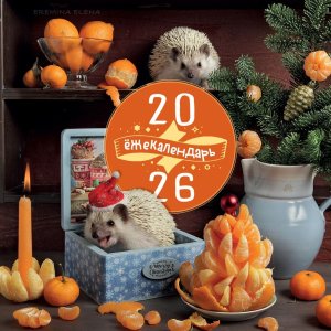 Кал 2026 Настен Ежекалендарь Сочные мандаринки 300х300 мм