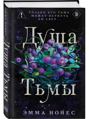 Душа тьмы Кн 1 Young Adult 