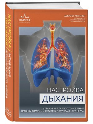 Настройка дыхания Упражнения для восстановления нервной системы и активации блуждающего нерва