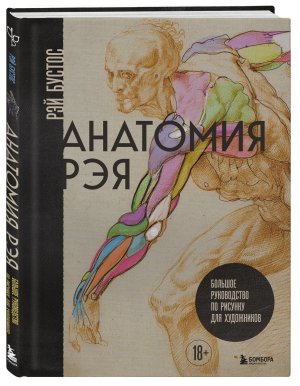 Анатомия Рэя Большое руководство по рисунку для художников