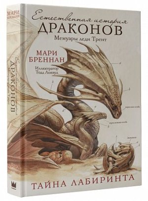 Тайна Лабиринта