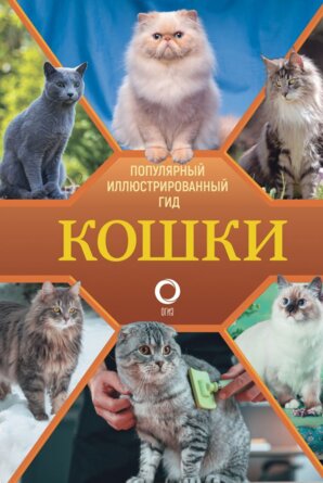 Кошки Популярный илл гид