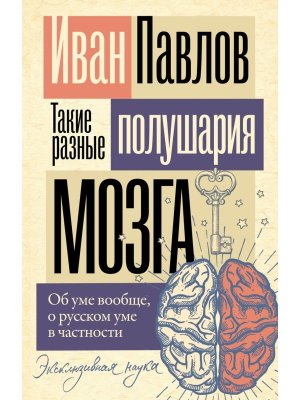 Такие разные полушария мозга Об уме вообще о русском уме в частности Мягк