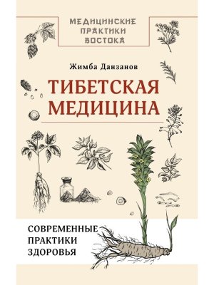 Тибетская медицина современные практики здоровья