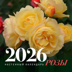 Кал 2026 Настен Розы 