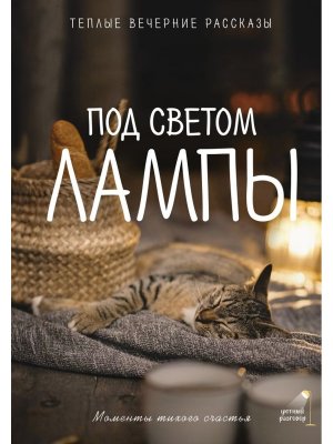 Под светом лампы моменты тихого счастья Теплые вечерние рассказы