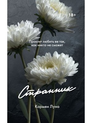 Странник