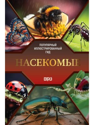 Насекомые Популярный илл гид