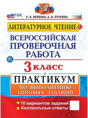*Литер чтение  3 ВПР Практикум ФГОС