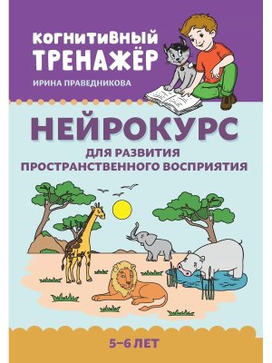 Нейрокурс для развития пространственного восприятия 5-6 лет