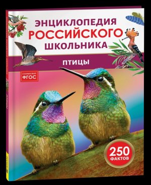 Птицы Энц российского школьника