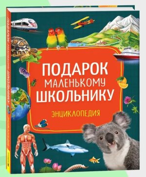 Подарок маленькому школьнику Энциклопедия