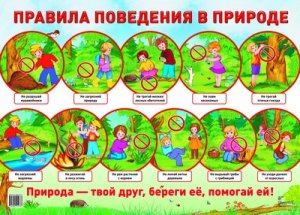 Плакат Правила поведения в природе