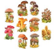 Комплект украшений Грибная коллекция 10 видов КМ-17090