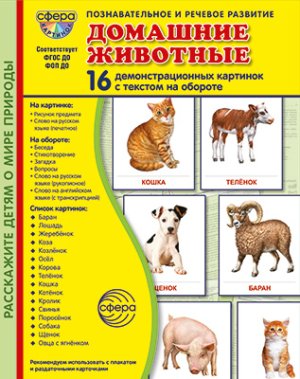Демонстр карт Супер Домашние животные В ПАПКЕ 16 дем карт с текстом