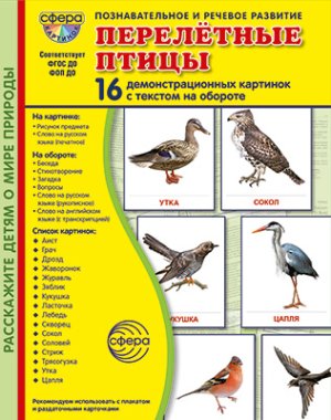 Демонстр карт Супер Перелетные птицы 16 дем карт с текстом на обороте В папке 