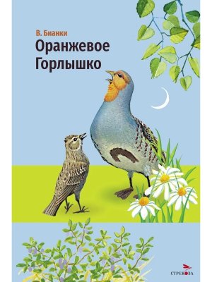 Оранжевое горлышко ВнЧт