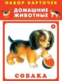 Карточки Домашние животные