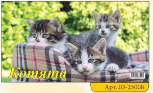 Кал 2025 Домик 200*140 Котята 03-25008