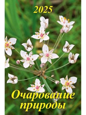 Кал 2025 настен Очарование природы на спирали с ригелем 320*480 04-25005