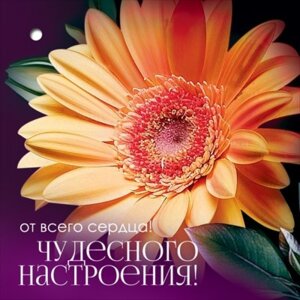 Открытка мини От всего сердца Чудесного настроения