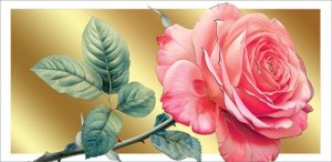 Конверт Без надписи Розовая роза жен 2902135