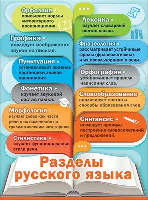 Плакат Разделы русского языка