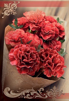 Открытка Без надписи Красные гвоздики 5.0000011