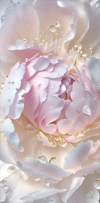 Конверт Без надписи жен