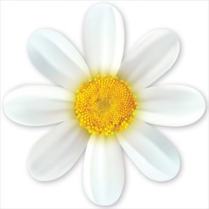 Украшение на скотче А5 Ромашка 5.0001338