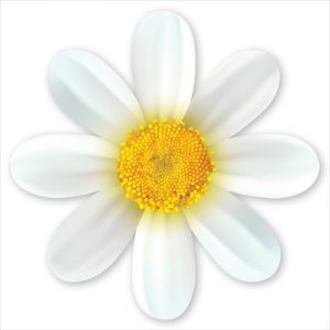 Украшение на скотче А7 Ромашка 5.0001342