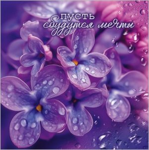 Бирка двойная Пусть сбудутся мечты 5.0002277