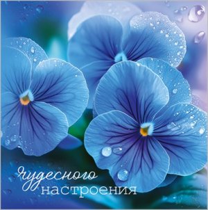 Бирка двойная Чудесного настроения 5.0002281