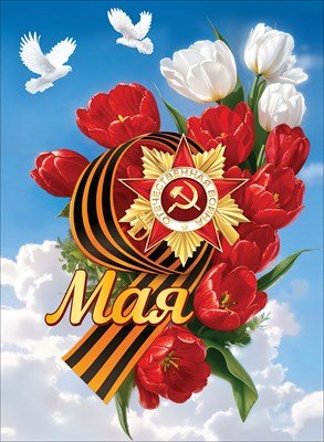 Плакат 9 Мая 5.0002482