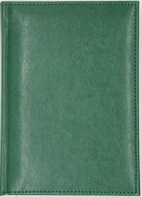 Ежедневник 384стр полудат А5 Venice зеленый С0871-152