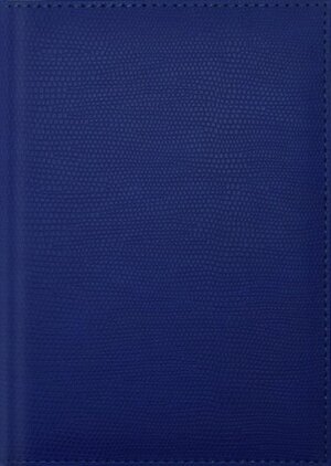Ежедневник 256стр недатир А5 Rome Синий н/д кожзам С2616-199
