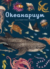Океанариум Илл энц