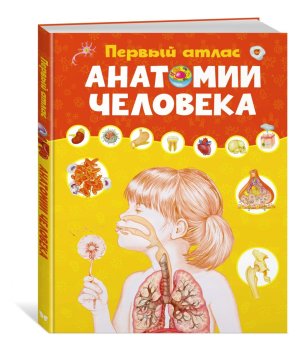 Первый атлас анатомии человека Энц