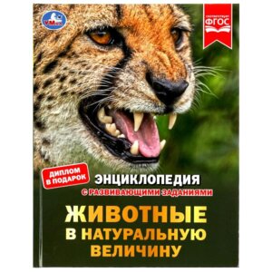Умка Животные в натуральную величину Энц А4