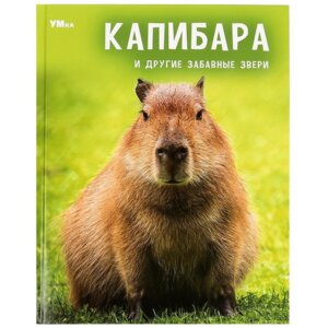 Умка Капибара и другие забавные звери Энц