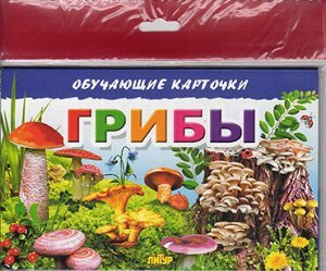 Карточки Грибы