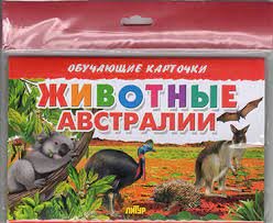 Карточки Животные Австралии