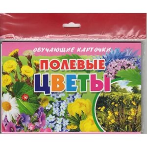 Карточки Полевые цветы 