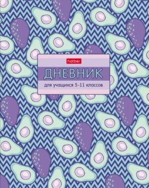 Дневник 5-11 Карты на форзацах 48ДТ5В_25181