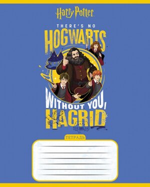 Тетрадь  18л Клетка Гарри Поттер 5 диз 18Т5В1