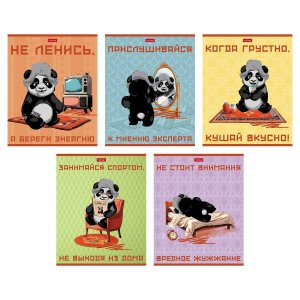 Тетрадь  48л Клетка Мудрая панда 5 диз 48Т5В1