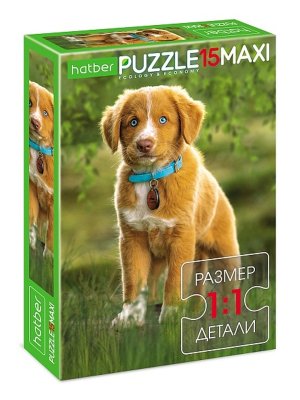 Паззл   15 MAXI Мой лучший друг 15ПЗ4_28371